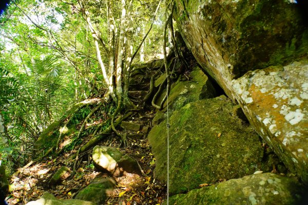苗栗 南庄 光天高山、向天湖山3073684