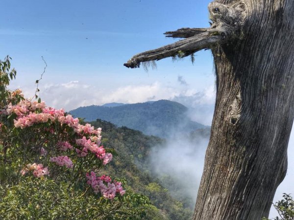 塔曼山~魔幻森林