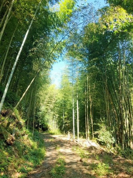 鳳凰山-隆田登山口1760451