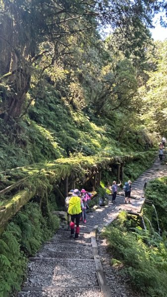 太平山運材軌道見晴線2588829