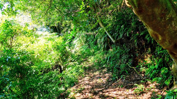 經營時間的早餐店2993571