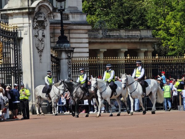 2025_0428 倫敦馬拉松順遊西歐 D10b(白金漢宮)2795186