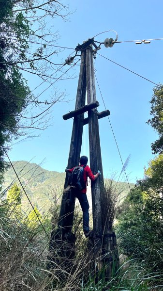 尋幽訪古遊走千年巨木和幻霧美森的樂山林道2882363