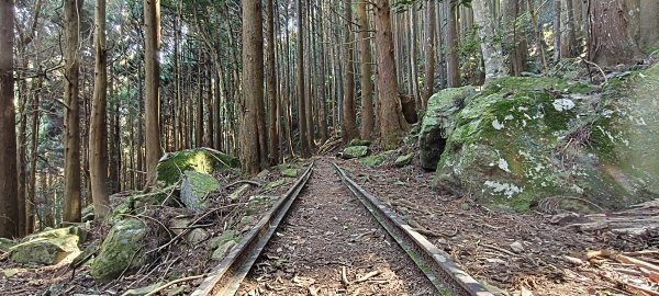 2026/03/18 加里山+大坪山 O型3020010