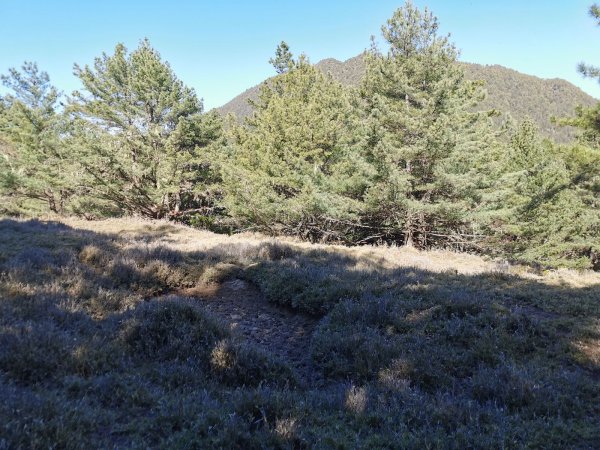 南三段縱走-百里長征在雲端-丹大東郡橫斷908883