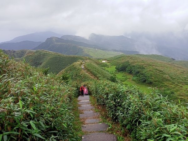 【新北-臺灣百大必訪步道】灣坑頭山→福德山→桃源谷草嶺線→大溪線→蕃薯寮山→大溪火車站1524570