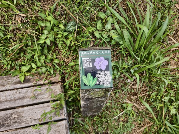 [百山百鳥尋旅-11/15] 2025_0927 大屯主峰-連峰步道_大屯山南峰2899339