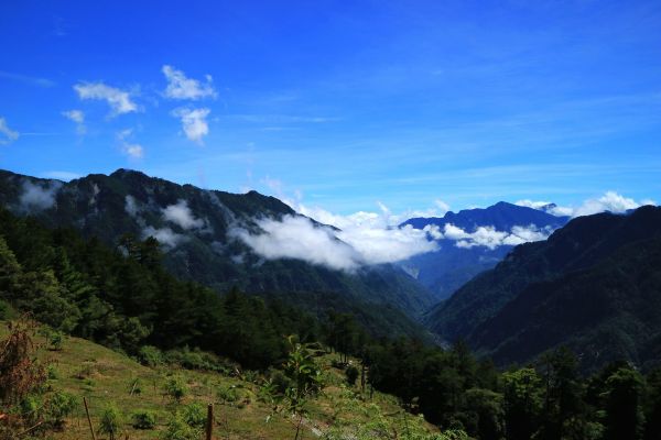 走過天險之路~合歡越嶺古道順登卯木山170684