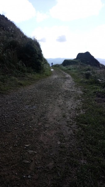 燦光寮山+古道+貂山O型249529