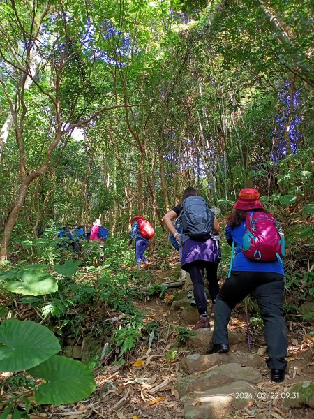 故宮博物院→狗殷勤古道→竹林步道→平菁街42巷賞櫻→臺北表演藝術中心→大港墘公園→瑞陽公園2434348