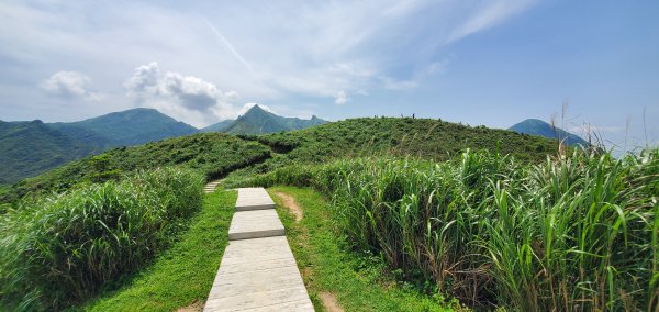 2024-04-20南子吝登山步道2484626