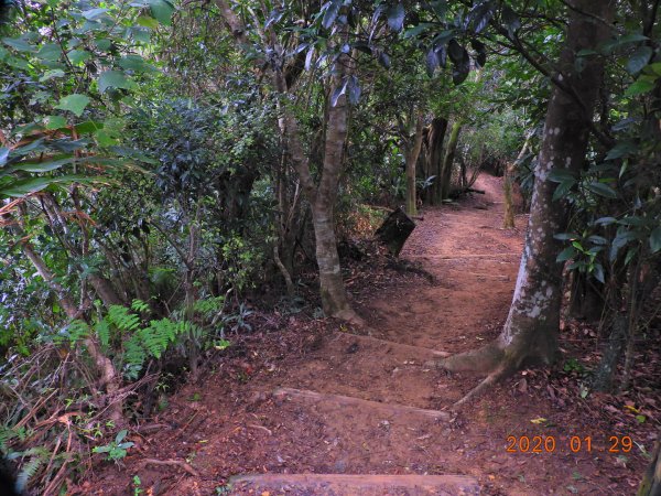 臺北市 文山 中埔山東峰817221