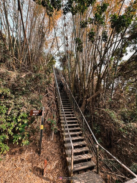 龍過脈森林步道2511514