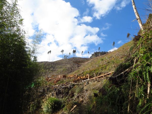 石鹿大山(霞喀羅大山)_古道清泉端269830