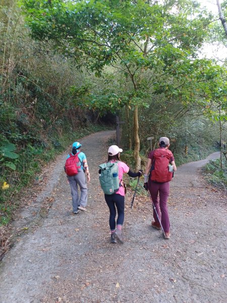 【台南白河】雞籠山+九龍山+大凍山O繞縱走2797117