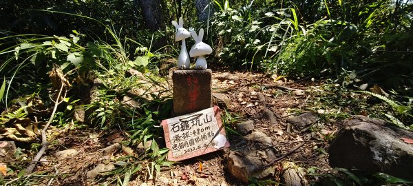 2025/08/23_白石山步道+石龜坑山O型2871085