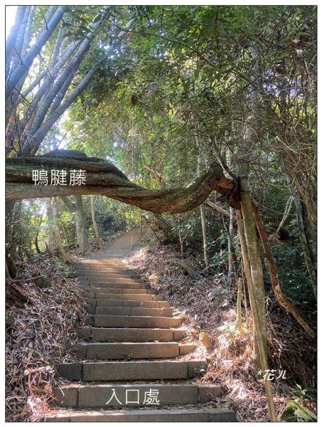 藤坪步道、猿山連走2601576