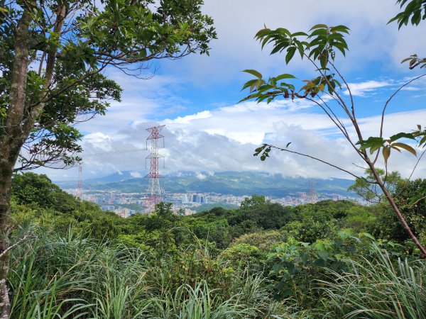 小百岳No.14⛰土庫岳2593731