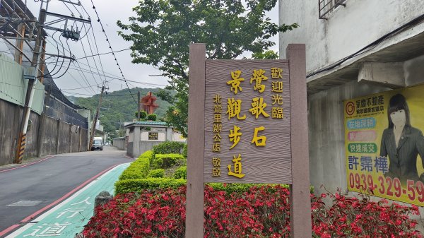 (姨婆趴趴走)第九集:攀登新北鶯歌石，鶯歌郊山步道群縱走(一)2167911