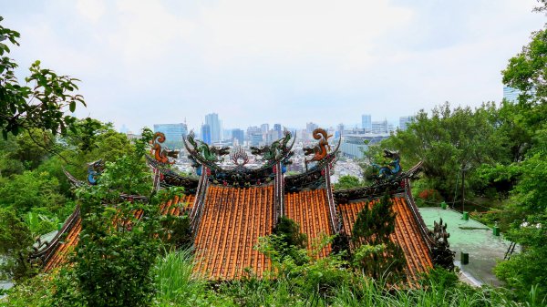 南港四小山。韓美磋2766477