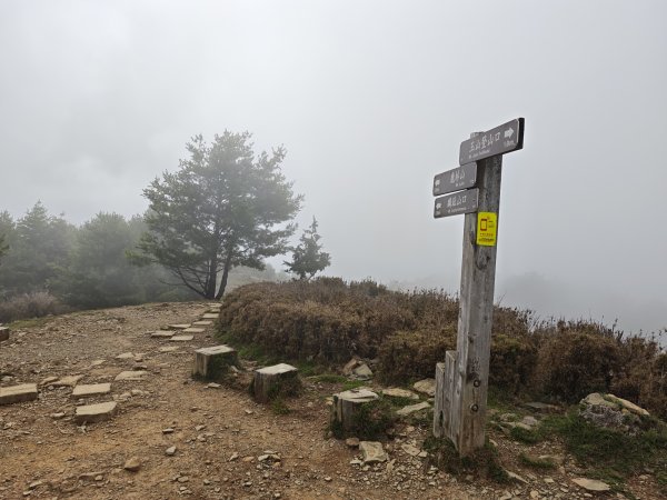[山海圳_聖山之路_第二段3/4] 2026_0802 麟趾山3109265