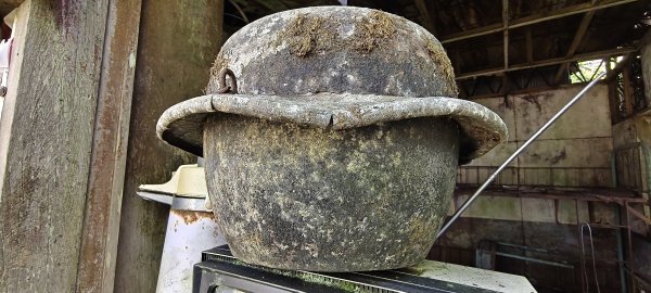 2025/06/15_盡尾山步道2812743