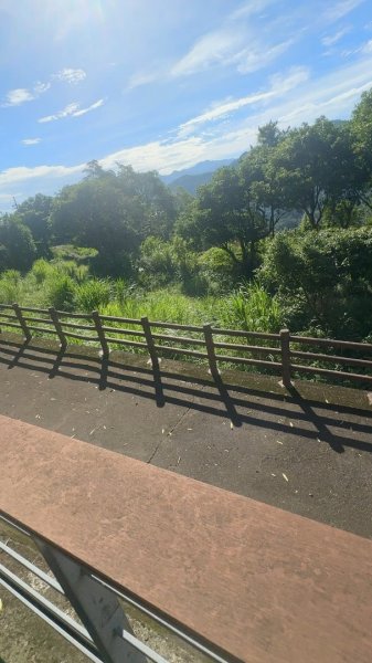 新竹橫山-大崎棟步道2619156