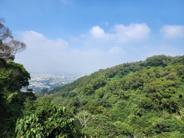 田中森林登山步道2411090