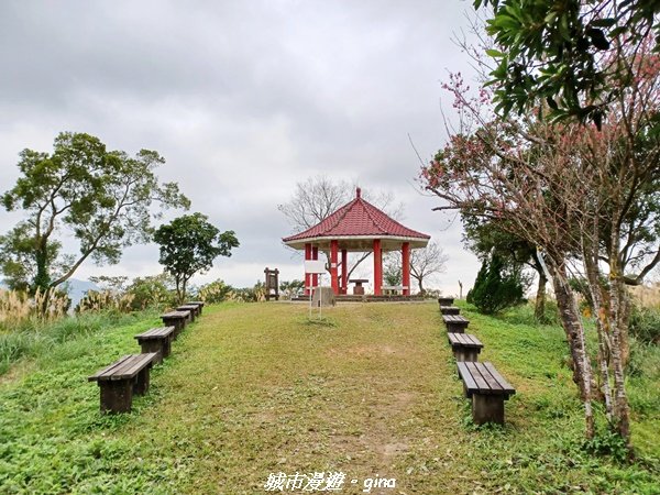 【新北。深坑】親民山徑。 小百岳集起來。 編號14小百岳~土庫岳1594158