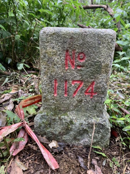 20250127屏東坪埔厝山-草山-南湖呂山西峰-南湖呂山2705094