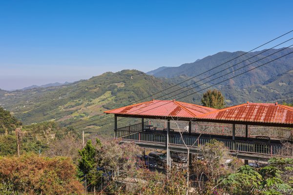 [苗栗]馬那邦山2355211