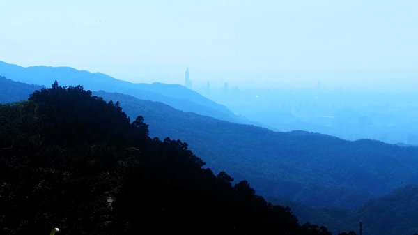 春天鮮綠的呢喃基隆荖寮坑古道上望古山登五分山O型2747331