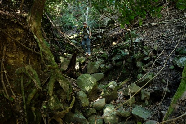 苗栗泰安 | 雪見‧初探北坑溪古道2700068