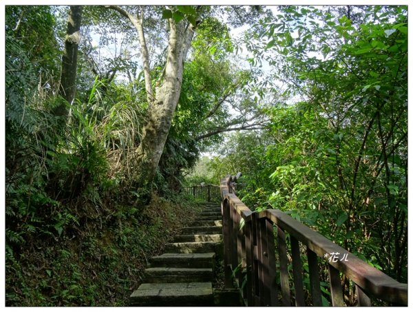 南港山/縱走象山(小百岳)797500