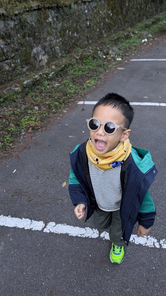 八仙山主峰步道3012296