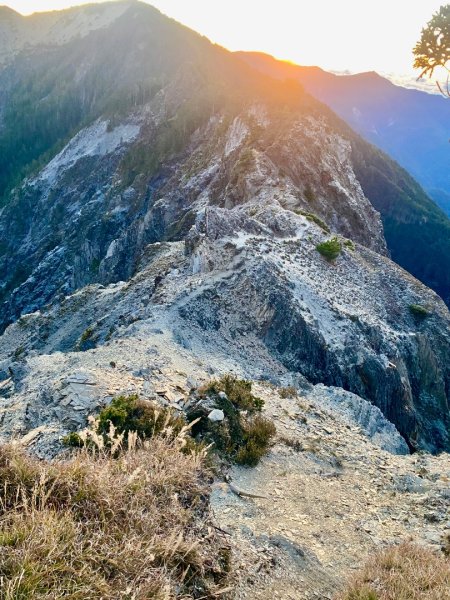 啟動高山度假模式~金牌三小隊之馬博橫斷8日2965007