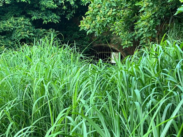 新北 瑞芳 無言的山丘2788451