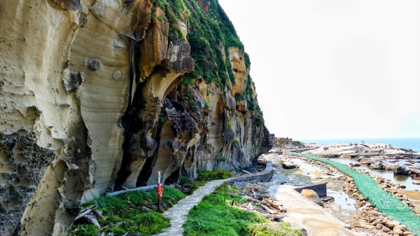 和平島(含阿拉寶灣)2821364