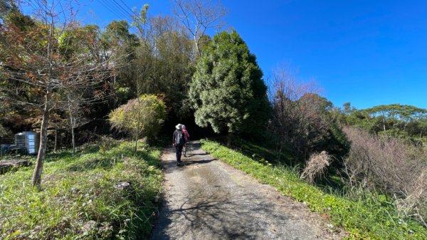 十份棟古道出雲端2688963