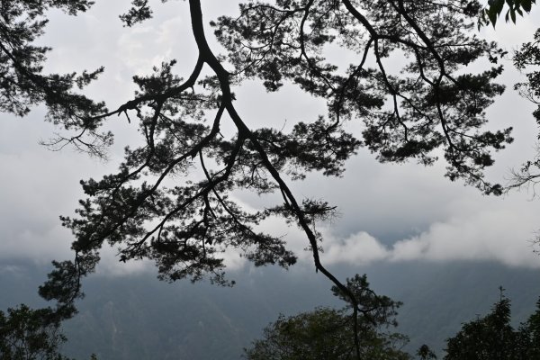 谷關七雄-馬崙山1st2888328