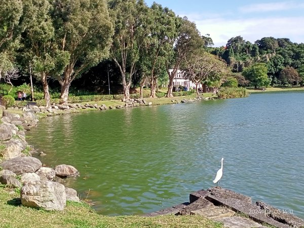 內湖瑞陽公園、碧湖公園、大港墘公園2416868