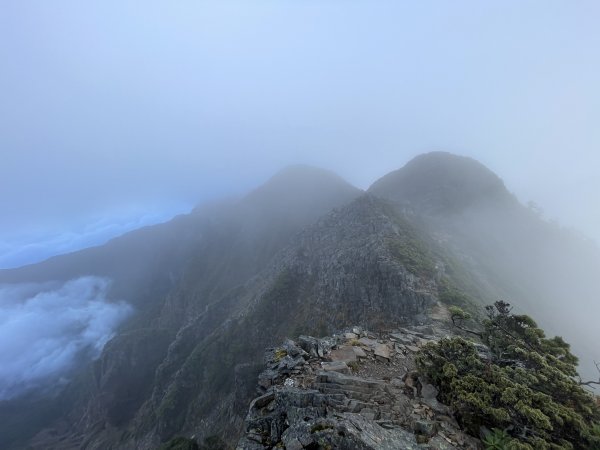 一日小O聖 2024 11/222865492