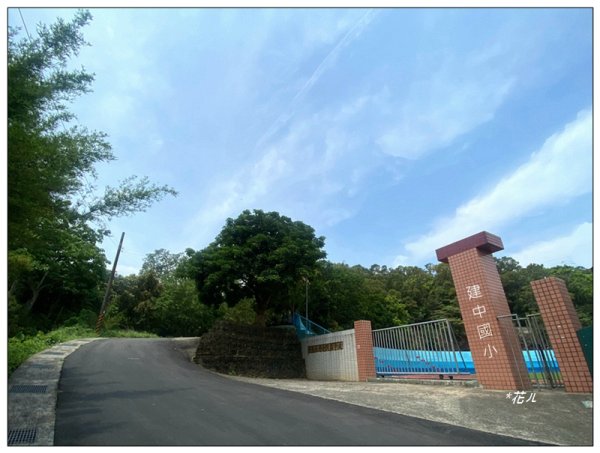 三義山、慈濟山、大坪山 連走桐花之旅3043845