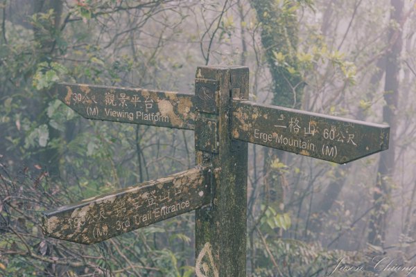 [新北]二格山2730223