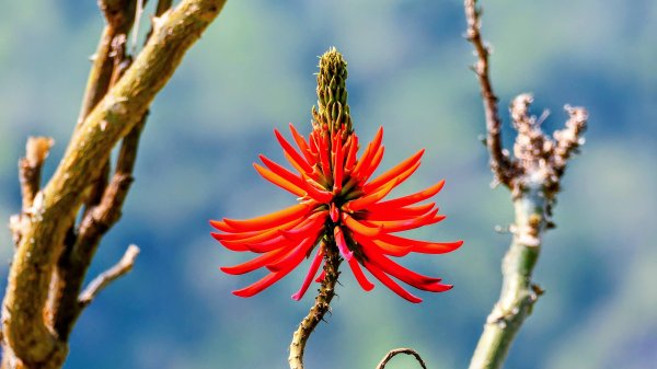 洄瀾東海岸3006706