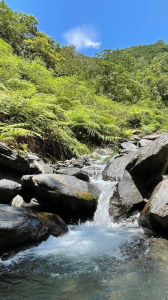 烏來阿玉溪溯溪接西坑林道2573834