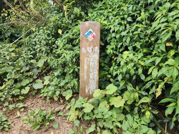 小百岳No.80⛰里龍山2776353