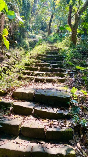 龍麟山登山步道2730752