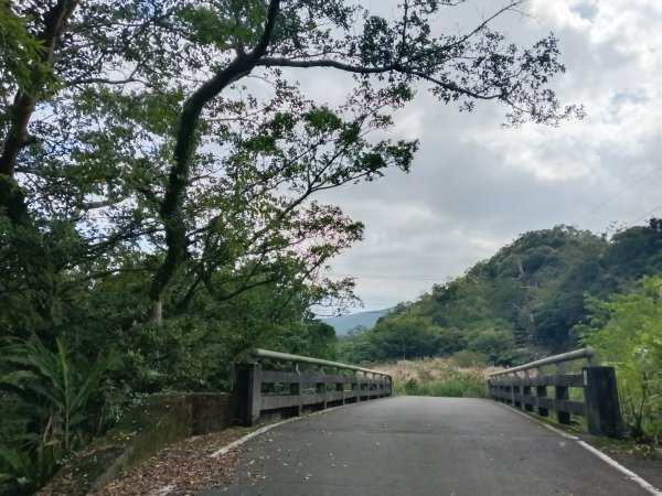貢寮區大嶺古道+大石壁坑山+龍字碑+五酒桶山+龍崗山2948279