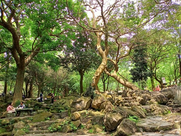 陽明醫院舊址、陽明山前山公園、紗帽山步道、紗帽路、臺北市教師研習中心【走遍陽明山】2121932